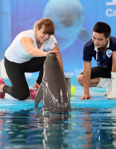 10人輪換 10人輪換