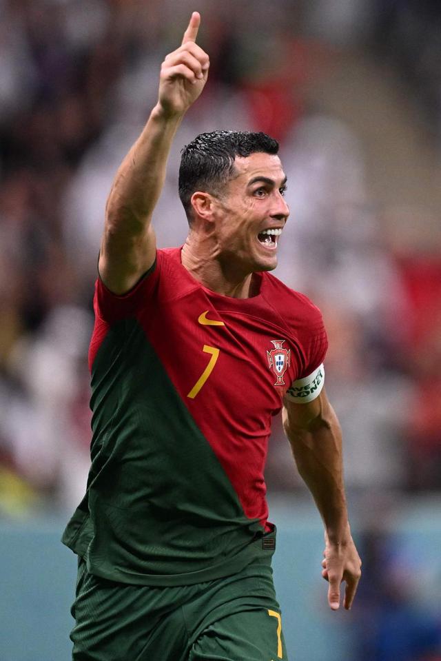 人能达到梅 人能达到梅